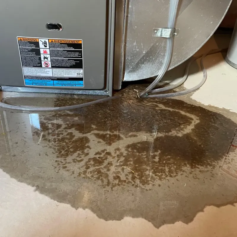 Appliance Leak Cleanup in Penitas, TX